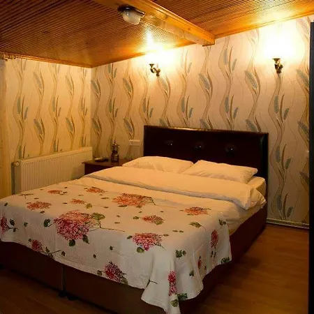 בית הארחה Halikarnas Ada Butik Otel