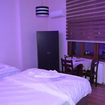 בית הארחה Halikarnas Ada Butik Otel