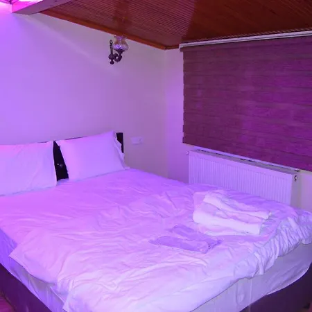 Halikarnas Ada Butik Otel *